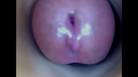 Paula 18 Aninhos online show from 04/19/26, 06:21