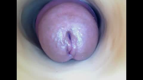 Paula 18 Aninhos online show from 04/21/26, 03:35