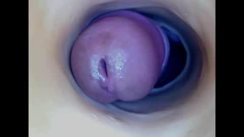 Paula 18 Aninhos online show from 05/31/26, 09:38