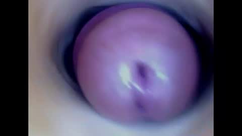 Paula 18 Aninhos online show from 07/13/26, 02:03