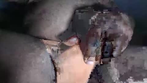 Snapshot of paulcockring chatting on 11/23/25, 04:34 paulcockring online show from 11/23/25, 04:34