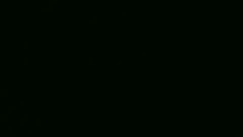 PaulCongo online show from 04/22/26, 10:28