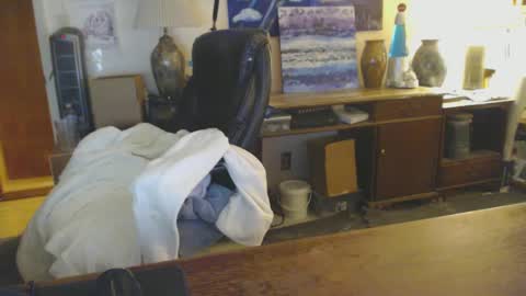 paulleroy online show from 01/25/25, 01:43