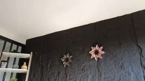 Paulo online show from 01/17/26, 09:18