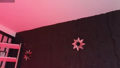 Paulo online show from 02/05/26, 09:08