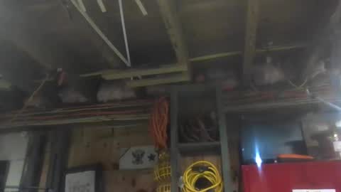 paulstetson online show from 12/20/24, 10:43