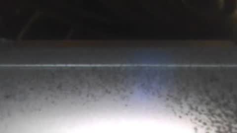 paulstetson online show from 12/26/24, 08:00