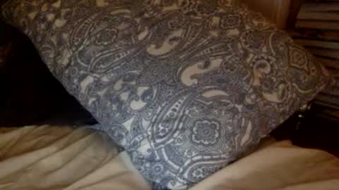 pea23 online show from 02/27/26, 11:38