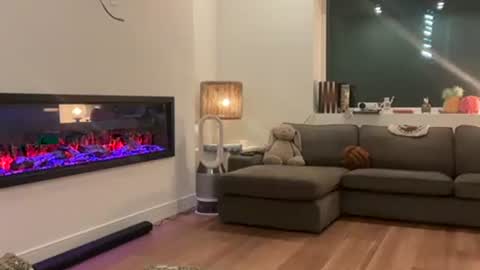 Effyyyyy online show from 04/01/26, 04:46