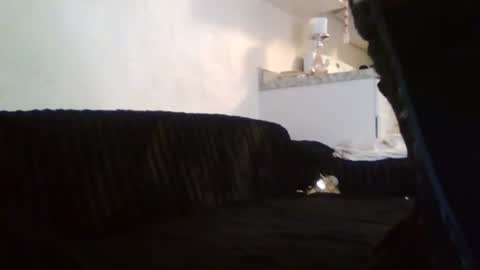 Snapshot of peachxpatron chatting on 07/20/26, 04:38 peachxpatron online show from 07/20/26, 04:38
