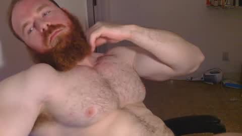 Pec inspector online show from 01/30/25, 03:55