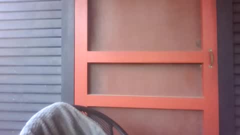 pecos8686 online show from 03/21/26, 04:43