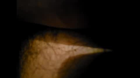 Alex online show from 01/24/25, 12:31