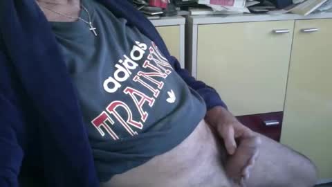 Snapshot of pegaso1000 chatting on 10/30/25, 08:49 pegaso1000 online show from 10/30/25, 08:49