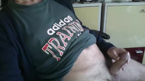 Snapshot of pegaso1000 chatting on 11/13/25, 08:35 pegaso1000 online show from 11/13/25, 08:35