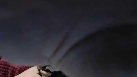 PeggySoft online show from 10/13/25, 04:45