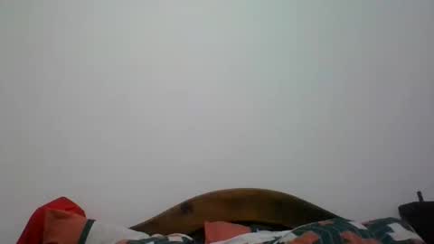 Snapshot of penegro358 chatting on 06/07/26, 02:05 penegro358 online show from 06/07/26, 02:05