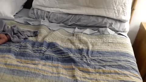 perdidobch online show from 12/13/24, 01:44