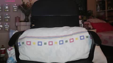 peregrintpelfox online show from 02/03/26, 08:30