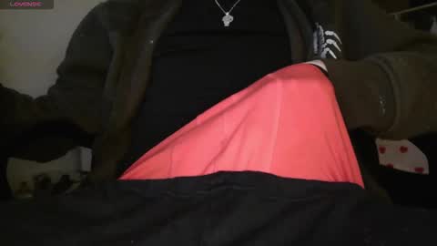 peregrintpelfox online show from 02/14/26, 10:34