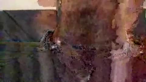 perfectFTM online show from 11/12/25, 08:52