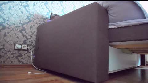 Anna online show from 12/10/24, 09:01