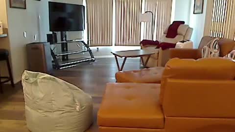 Snapshot of perfecto1957 chatting on 12/03/24, 07:55 perfecto1957 online show from 12/03/24, 07:55