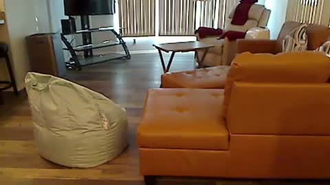 Snapshot of perfecto1957 chatting on 12/07/24, 07:10 perfecto1957 online show from 12/07/24, 07:10