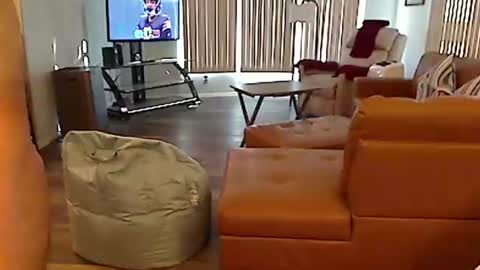 Snapshot of perfecto1957 chatting on 12/22/24, 08:03 perfecto1957 online show from 12/22/24, 08:03