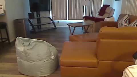 Snapshot of perfecto1957 chatting on 12/24/24, 03:58 perfecto1957 online show from 12/24/24, 03:58