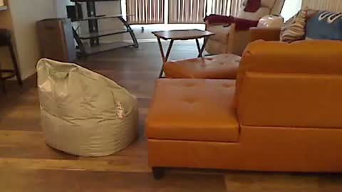 Snapshot of perfecto1957 chatting on 01/05/25, 04:48 perfecto1957 online show from 01/05/25, 04:48