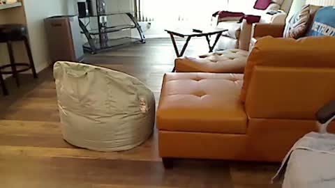 Snapshot of perfecto1957 chatting on 03/04/25, 02:21 perfecto1957 online show from 03/04/25, 02:21