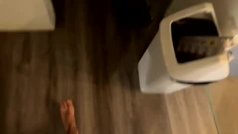 perthguytop online show from 11/04/25, 11:26