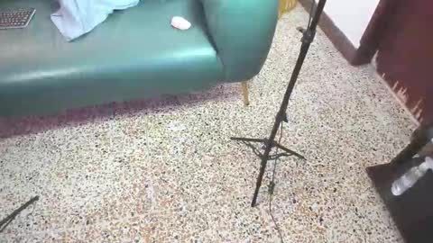 Peter online show from 02/21/26, 06:09