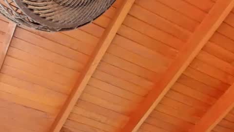 peter jackson1 online show from 12/04/24, 11:57