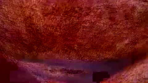 peterpeteropoulos online show from 07/20/26, 07:05