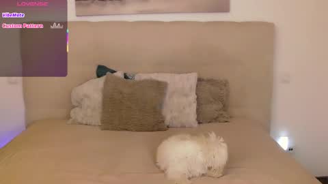 Peters Emily online show from 09/14/25, 10:20