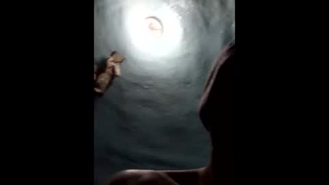 9072523824 online show from 01/19/25, 04:46