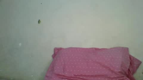 Snapshot of petite_shan chatting on 06/21/26, 05:32 petite_shan online show from 06/21/26, 05:32