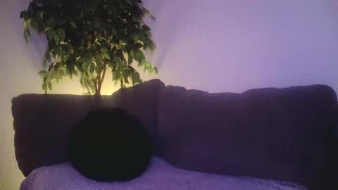 petite treat  online show from 12/19/24, 10:56