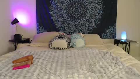 Bella online show from 10/31/25, 08:54