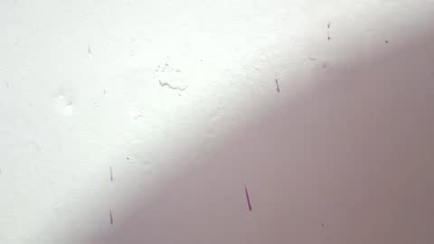 danna online show from 07/03/26, 03:46
