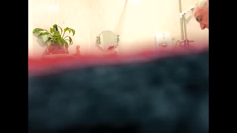 petrol63102 online show from 02/19/26, 09:38