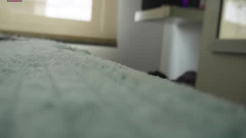 Pettercat online show from 01/05/25, 06:24