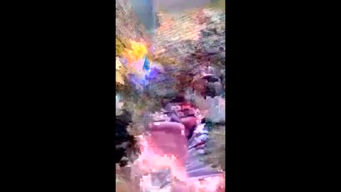 Snapshot of pezzabigcock chatting on 02/17/26, 07:27 pezzabigcock online show from 02/17/26, 07:27