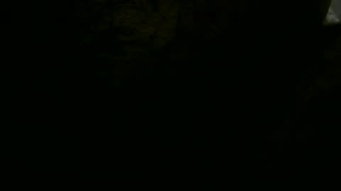 Snapshot of pglsmm chatting on 01/19/25, 01:32 pgls online show from 01/19/25, 01:32