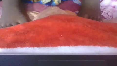 phania185885 online show from 04/16/26, 05:03