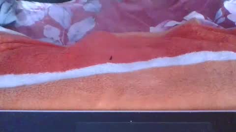 phania185885 online show from 05/10/26, 05:18