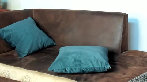 Snapshot of philip_dalton chatting on 01/28/25, 10:45 Philip Dalton online show from 01/28/25, 10:45