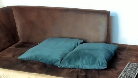 Snapshot of philip_dalton chatting on 01/31/25, 02:04 Philip Dalton online show from 01/31/25, 02:04